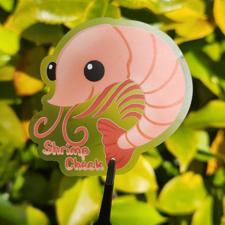 Clear Shrimp Check Sticker