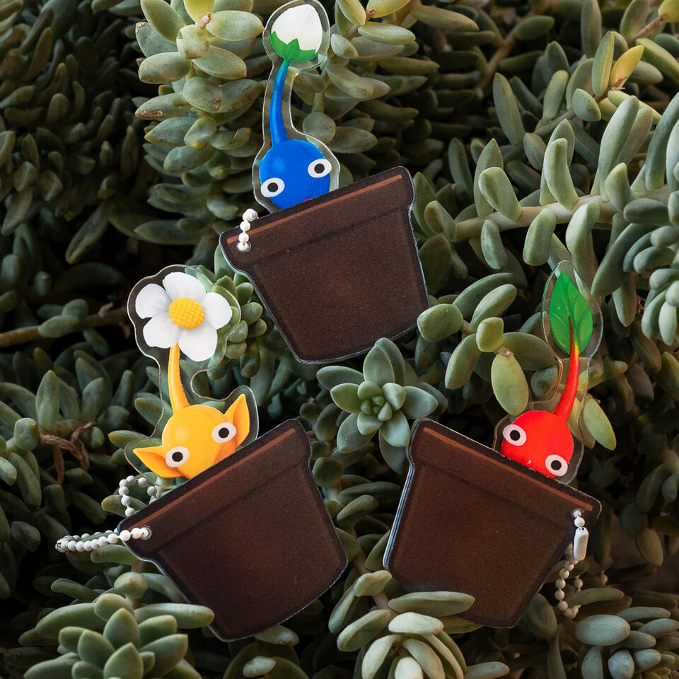 Pkm Slider Charm